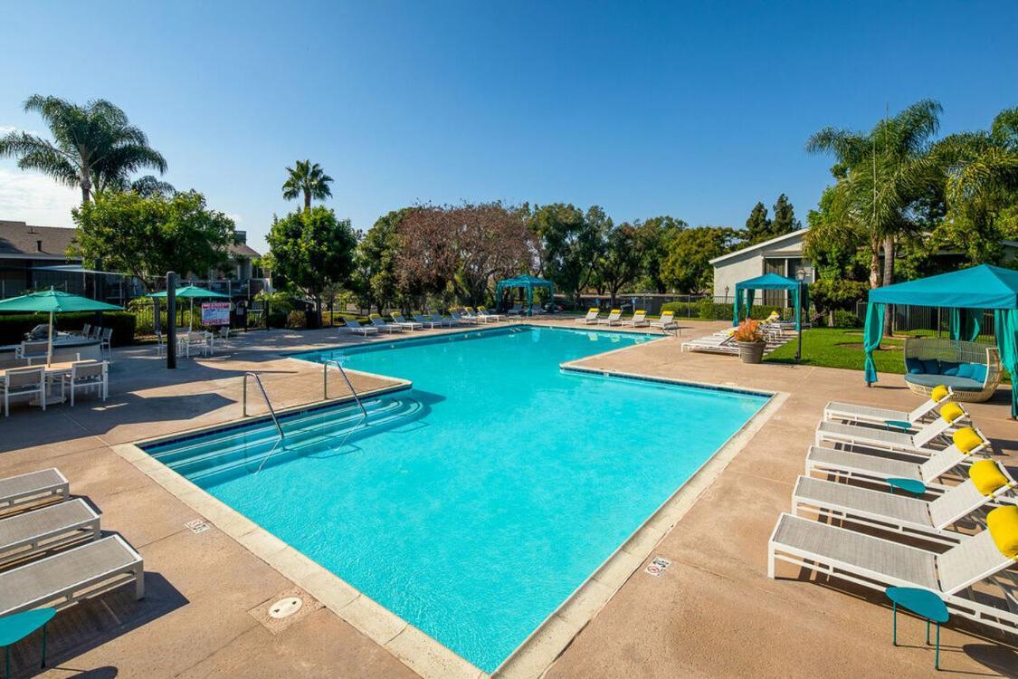 Huge Private 2br Apartment-pool-gym-spa Apartment *
