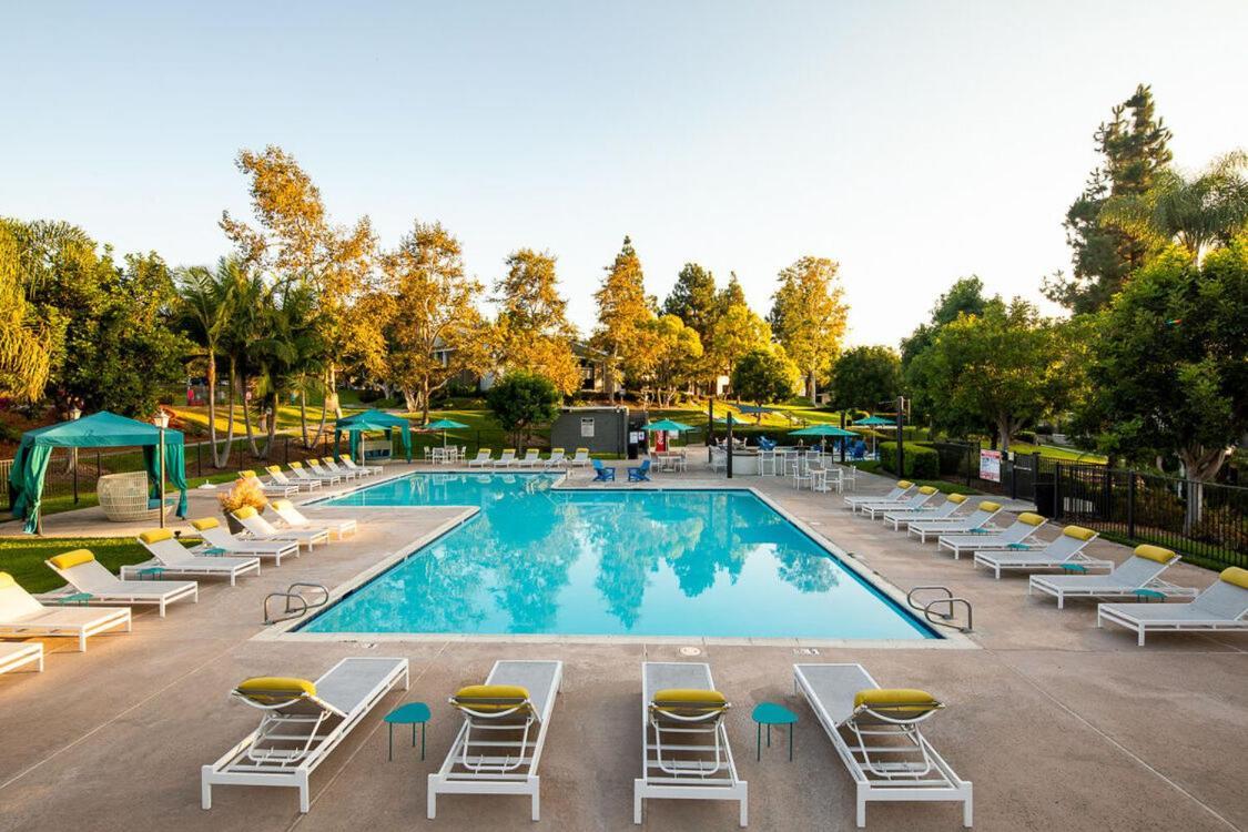 Apartment Huge Private 2br Apartment-pool-gym-spa *